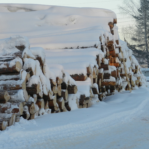 Антисептированная доска